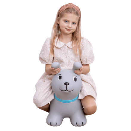 My First JUMPY – Grey Dog