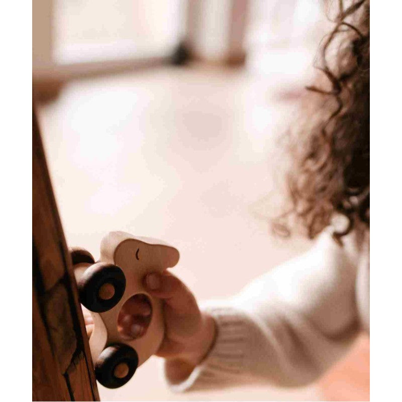 Wooden Toy on Wheels - Rabbit